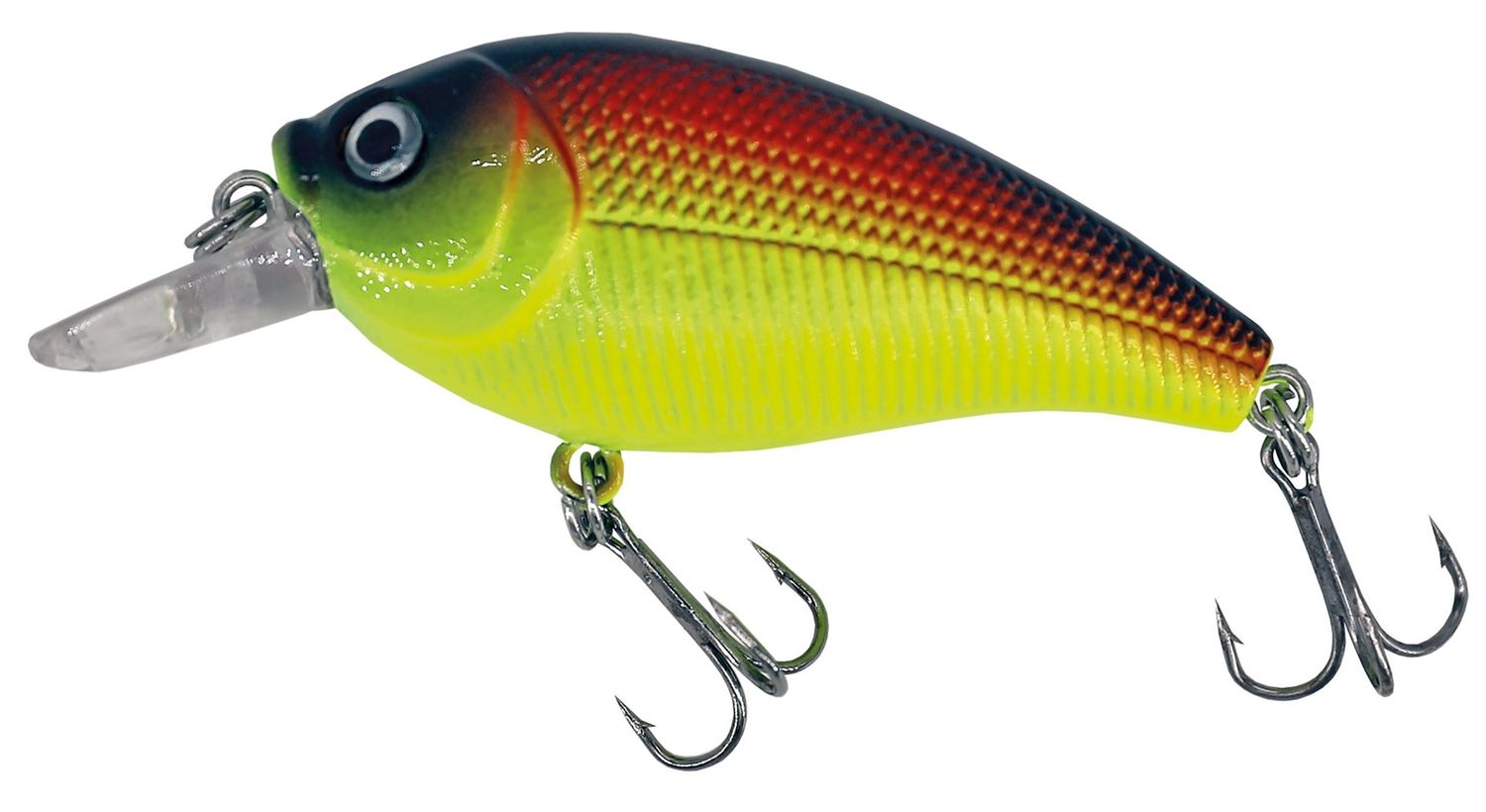 Albatros Catch21 Midi Bass 7 cm C5