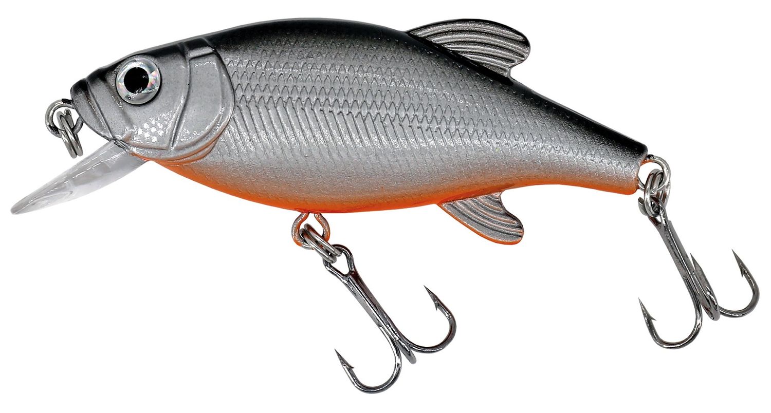 Albatros Catch21 Peacock 8 cm C3
