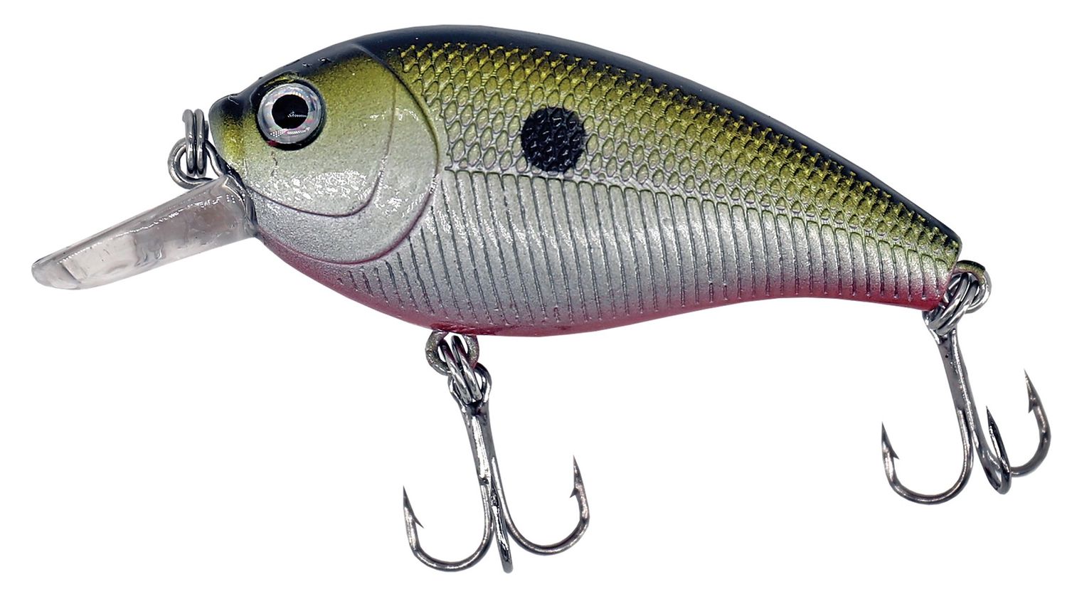 Albatros Catch21 Midi Bass 7 cm C4