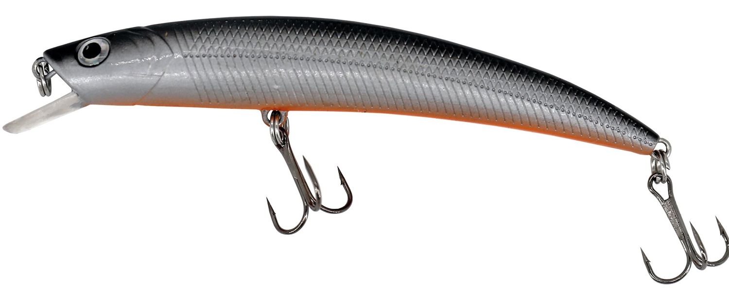 Albatros Catch21 Curio 11.5 cm C3