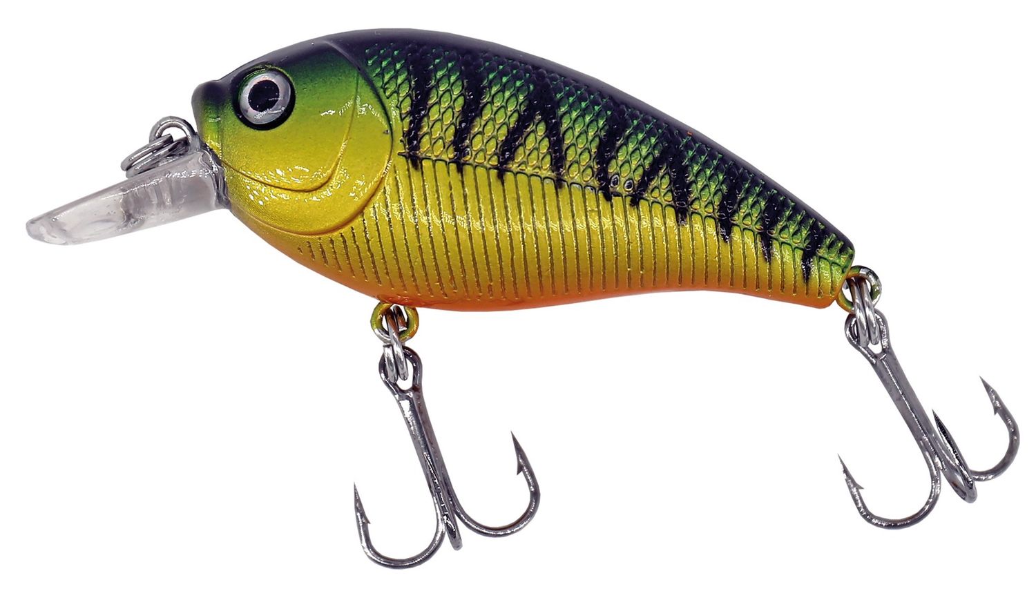 Albatros Catch21 Midi Bass 7 cm C2