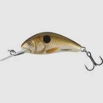 Salmo Hornet 3.5 cm 2.2 g F Pearl Shad