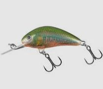 Salmo Hornet 4 cm 4 g S Holo Oikawa