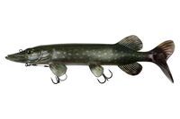 Fox Rage Ultra Natural Pike Replicant 40 cm