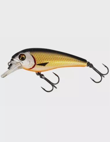 Westin Bullybite Crankbait 6 m 9 g F official roach