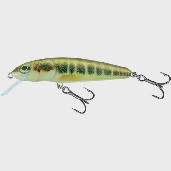 Salmo Minnow 5 cm 3 g F Minnow