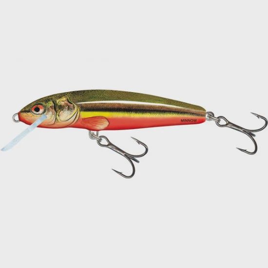 Salmo Minnow 5 cm 5 g S Rainbow Dace