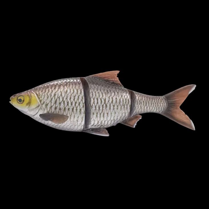 Savage Gear 4D Line Thru Roach 25 cm 216 g S silver bream