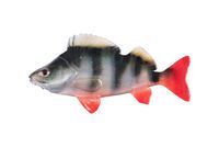 Fox Rage Ultra Naturals Perch Fillets 6 cm
