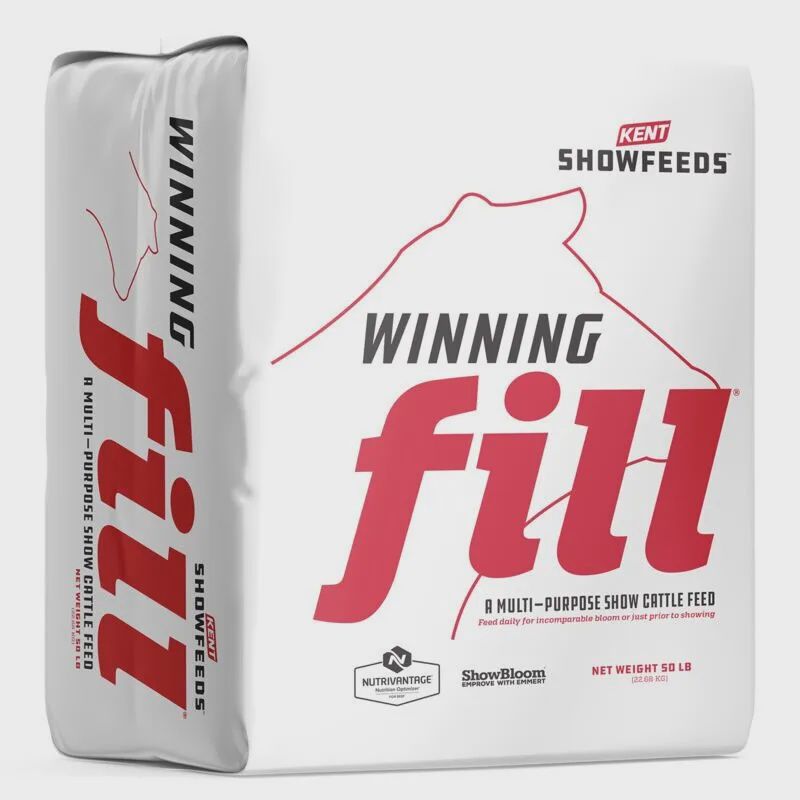 FD - Winning Fill
