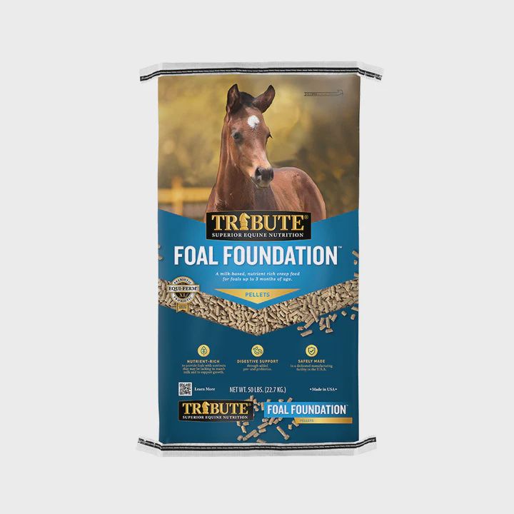 Foul Foundation