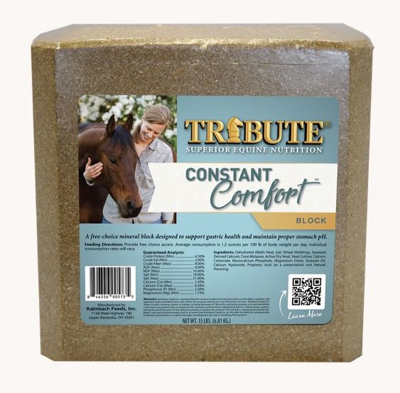 Constant Comfort Supplement Block