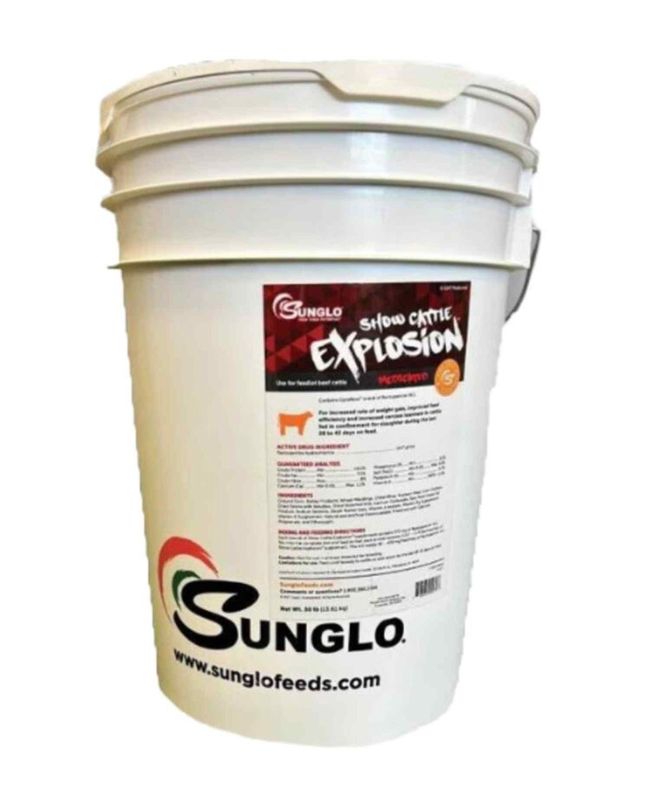 Show Cattle Explosion