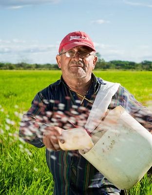 Pasture &amp; Wildlife Seed