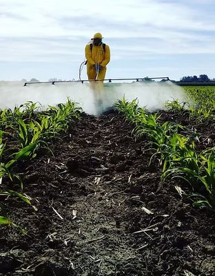 Pesticides &amp; Herbicides