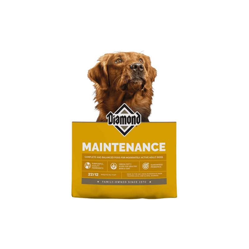 Diamond Maintenance- Yellow 22/14