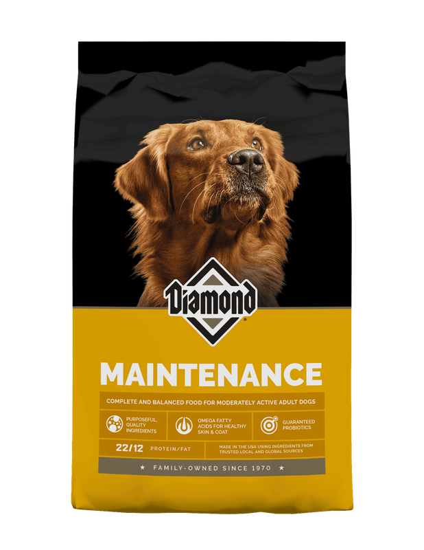 Diamond Maintenance Dog 22/14