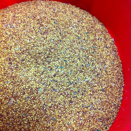 Ladino Clover, Size: 1lb