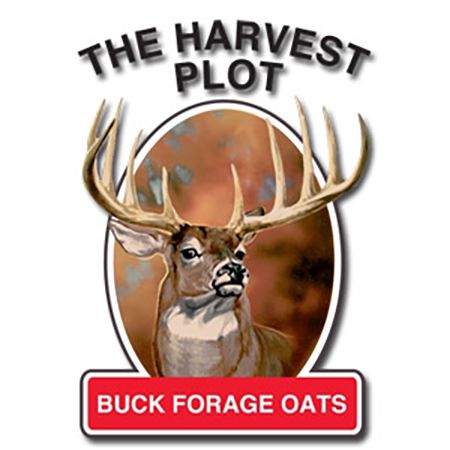 Buck Forage Oats