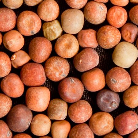 Austrian Field Peas, Size: 1lbs