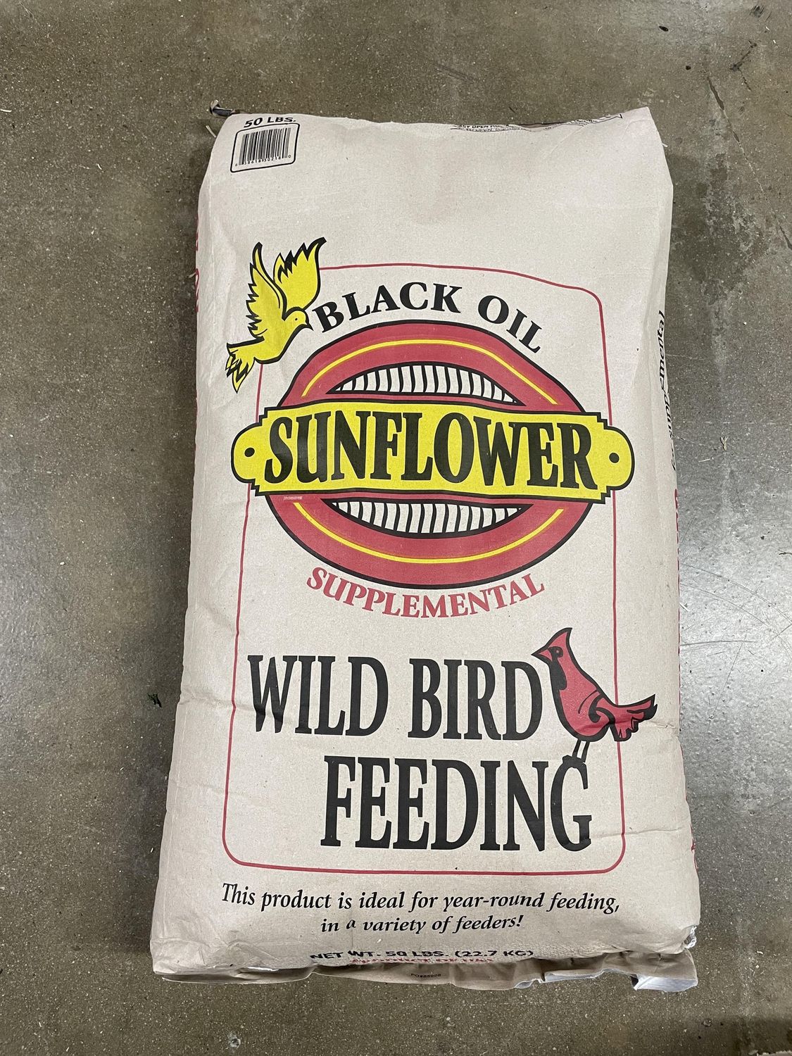 Black Oil Sunflower