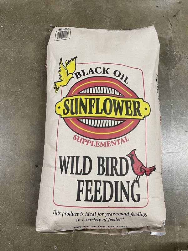 Black Oil Sunflower