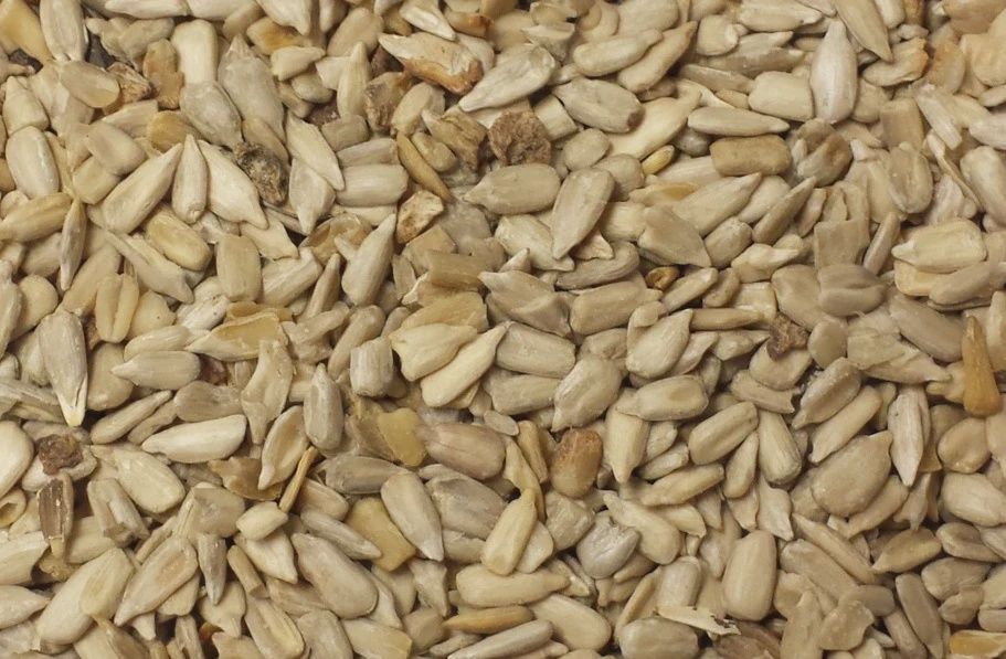 Medium Chips/Hearts Sunflower, Size: 5lbs