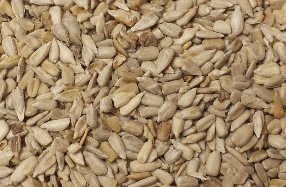 Medium Chips/Hearts Sunflower, Size: 5lbs