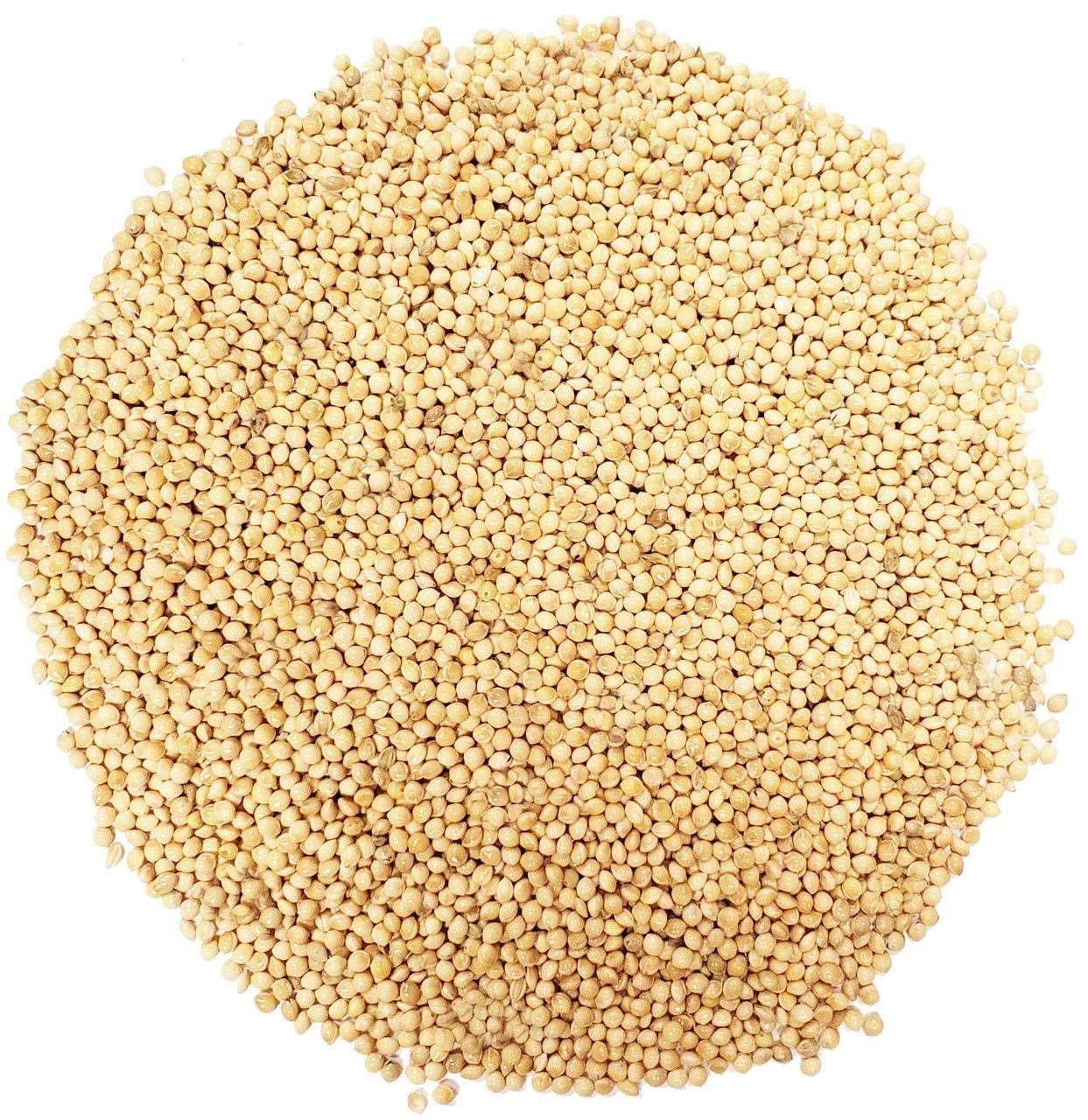 White Millet, Size: 5lbs