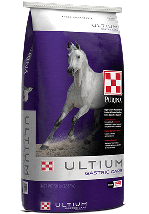 Feed - Purina Ultium Gastric Care Horse Feed