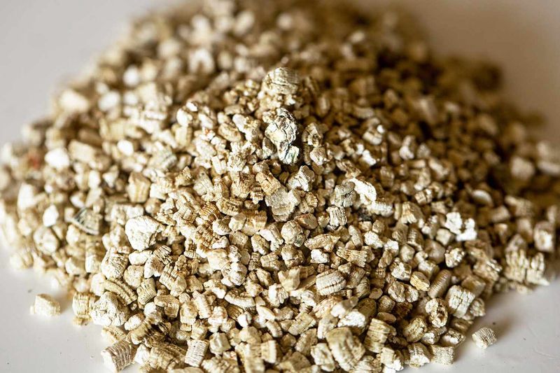 Vermiculite (Medium)