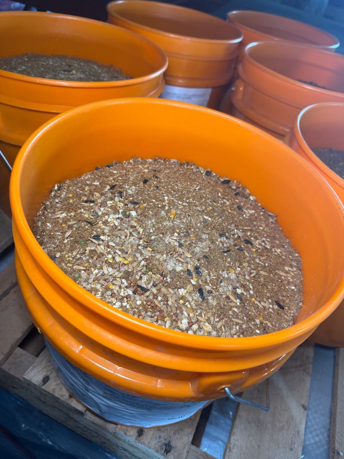 Peckin' Party Flock Block