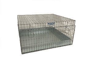 18X18 Guinea Pig Cage w/pan