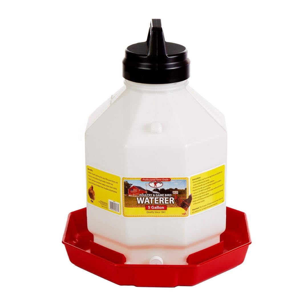 5 Gal Plastic Poultry Waterer
