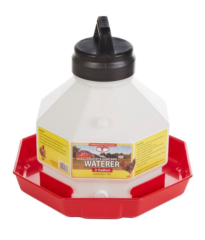 3 Gal Plastic Poultry Waterer