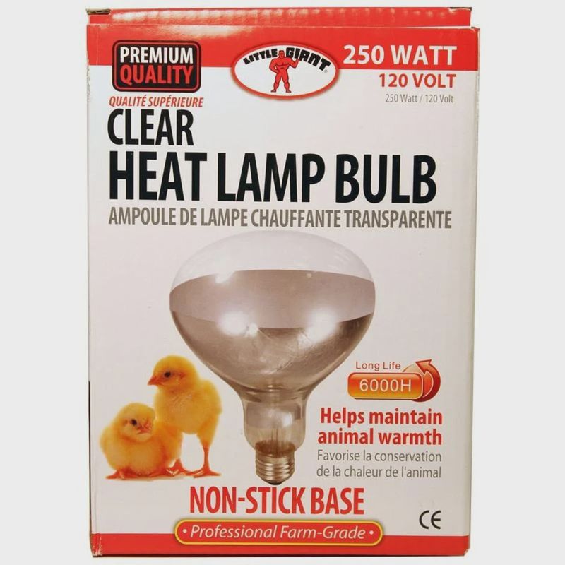 250 Watt Clear Heat Lamp Bulb