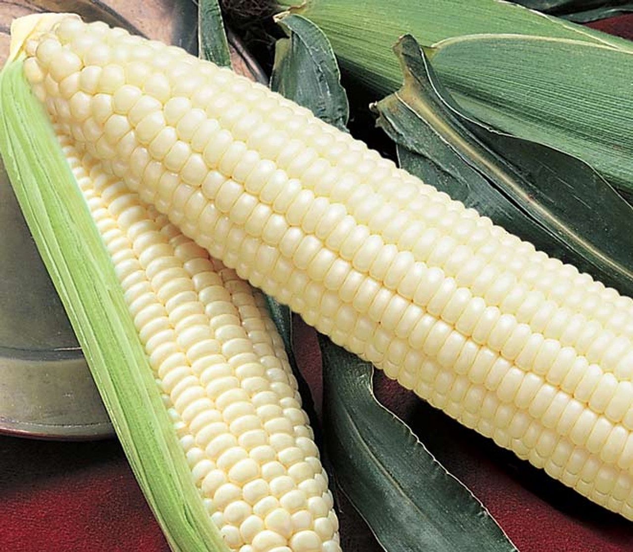 Hybrid Sweet Corn- Silver Queen, Size: 1lb