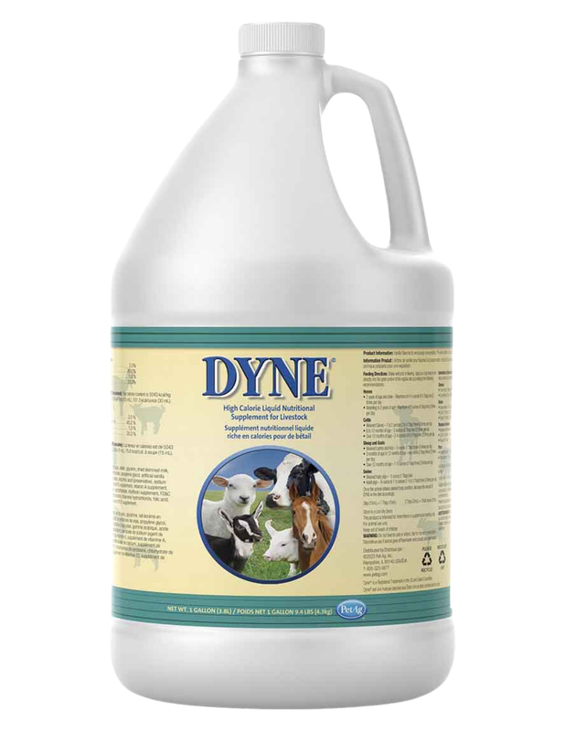 Dyne- 1 Gallon