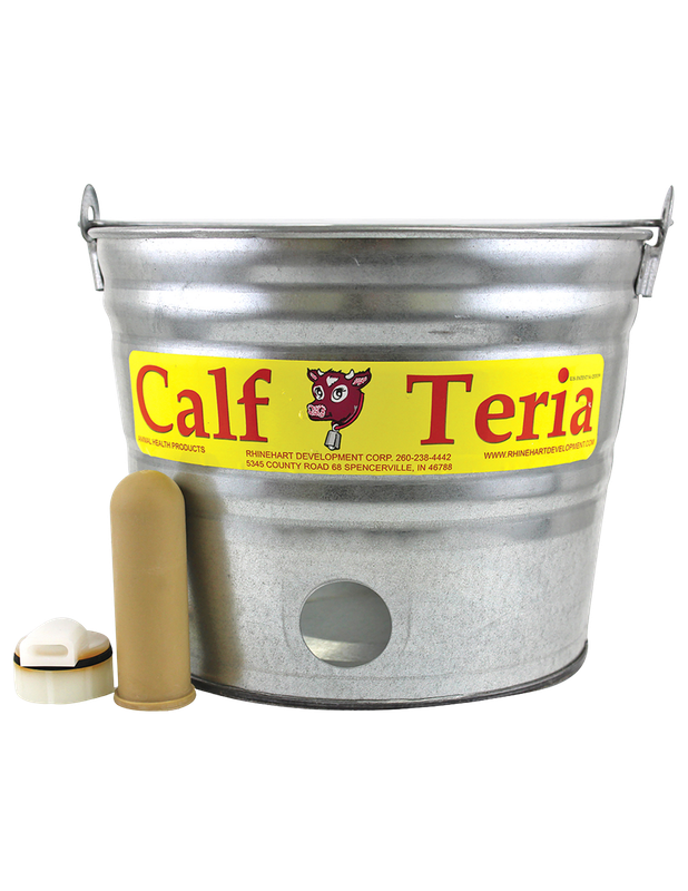 Calf Teria