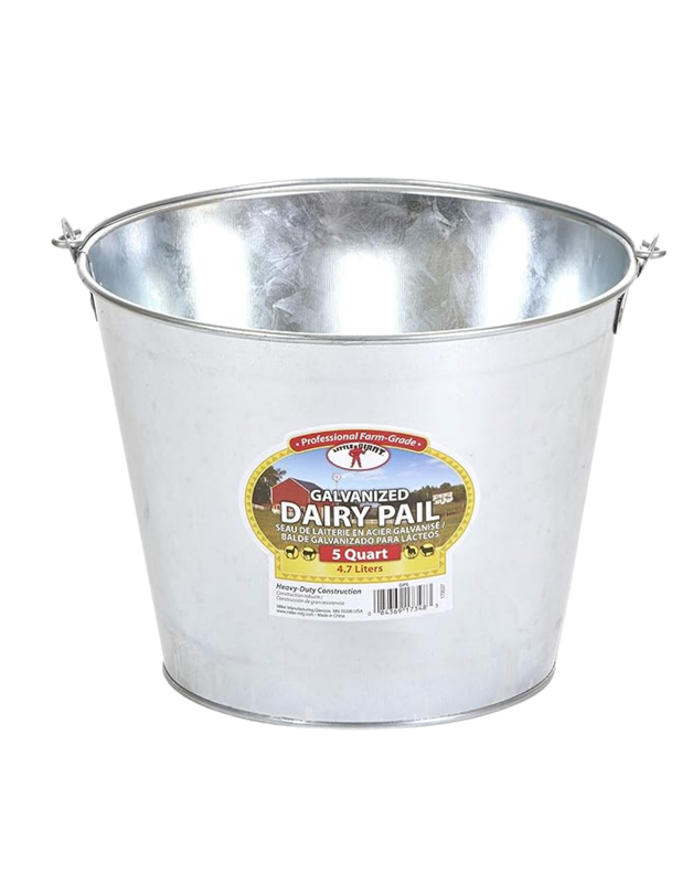 Galvanized Dairy Pail- 5 QT