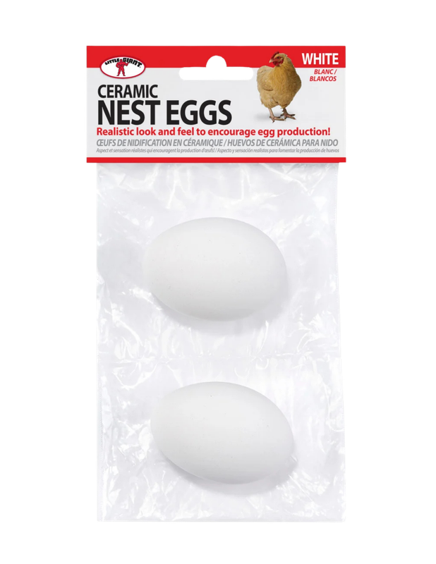 Nest Eggs Ceramic