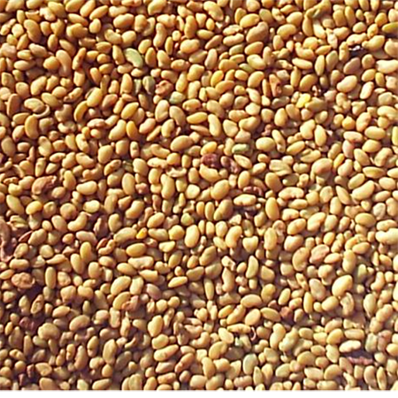 Vernal Alfalfa, Size: 5lbs