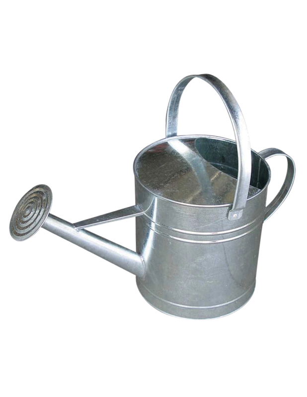 10 Quart Galvanized Watering Can