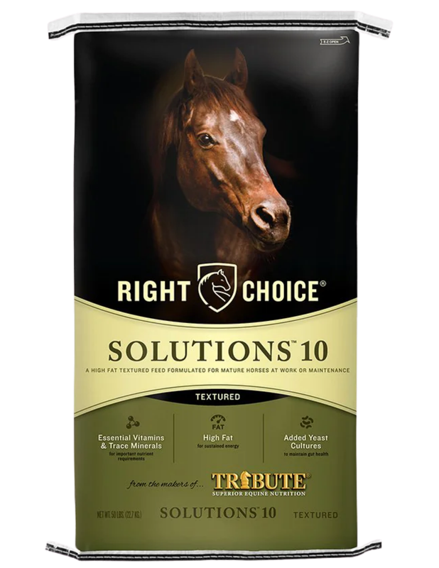 FD- Right Choice Solutions 10 Textured
