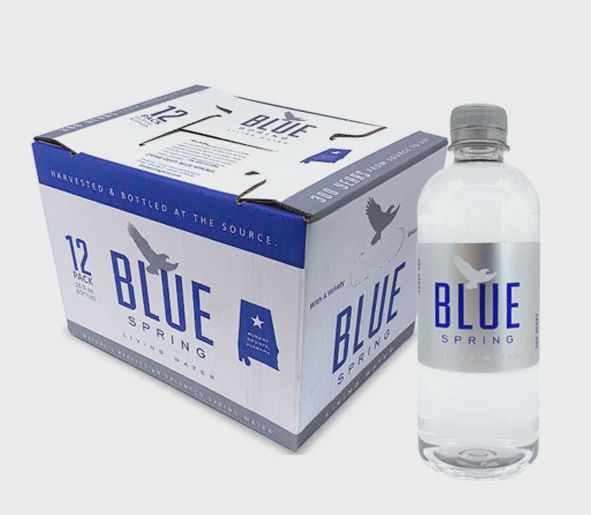 Water- Blue Spring Living Water- Case of 12 16.9 oz Bottles
