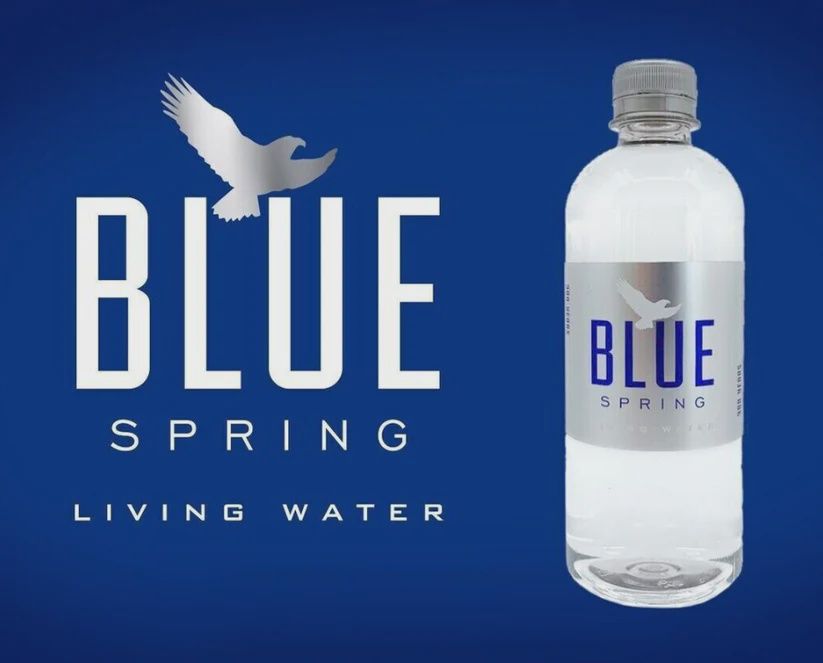 Water- Blue Spring Living Water- 16.9 oz
