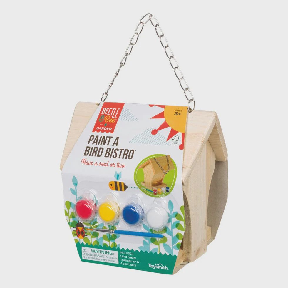 BB- Paint a Bird Bistro