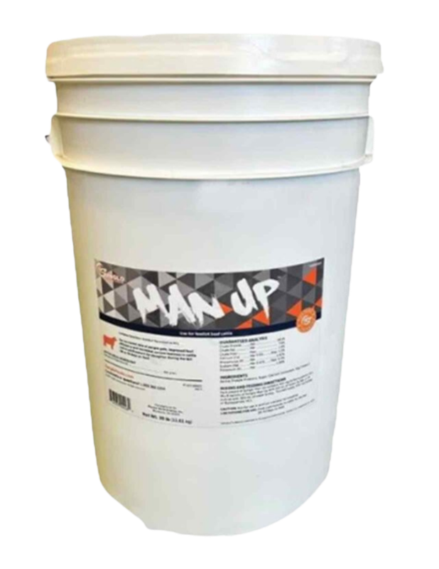 FDS - Man Up 30LB