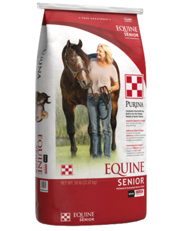 FD - Equine Senior
