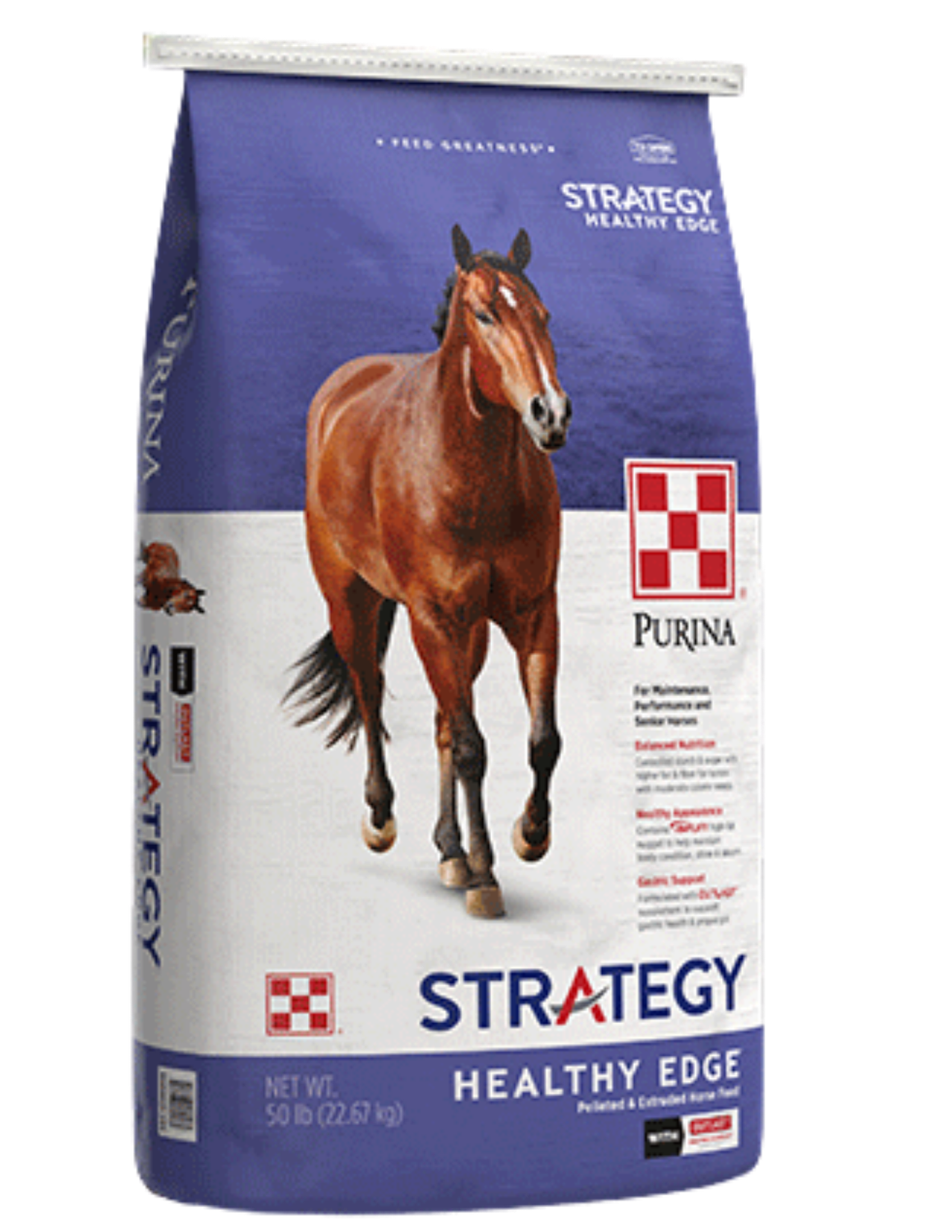 FD - Strategy Healty Edge